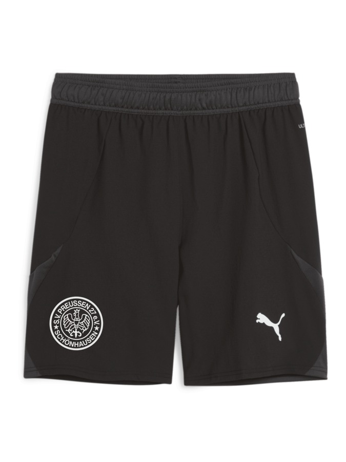 PUMA teamFINAL Shorts