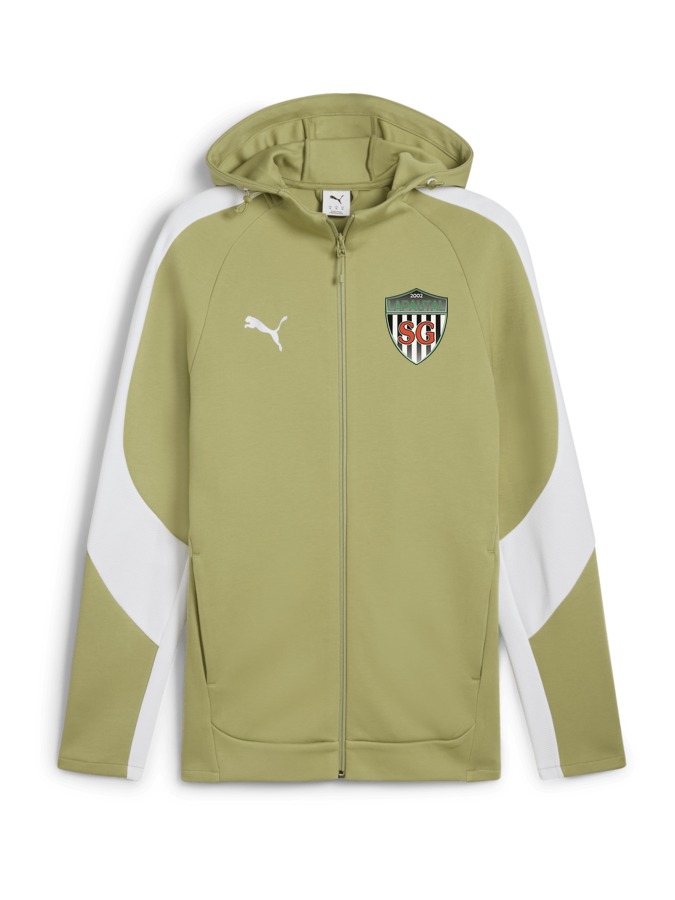 PUMA teamEVOSTRIPE Kapuzenjacke