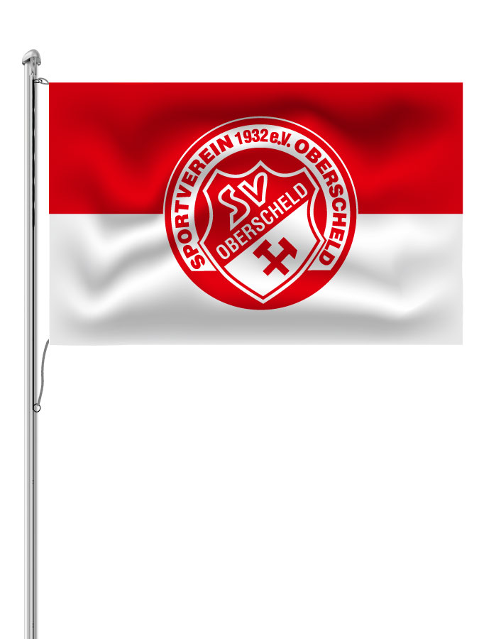 Hissfahne Logo