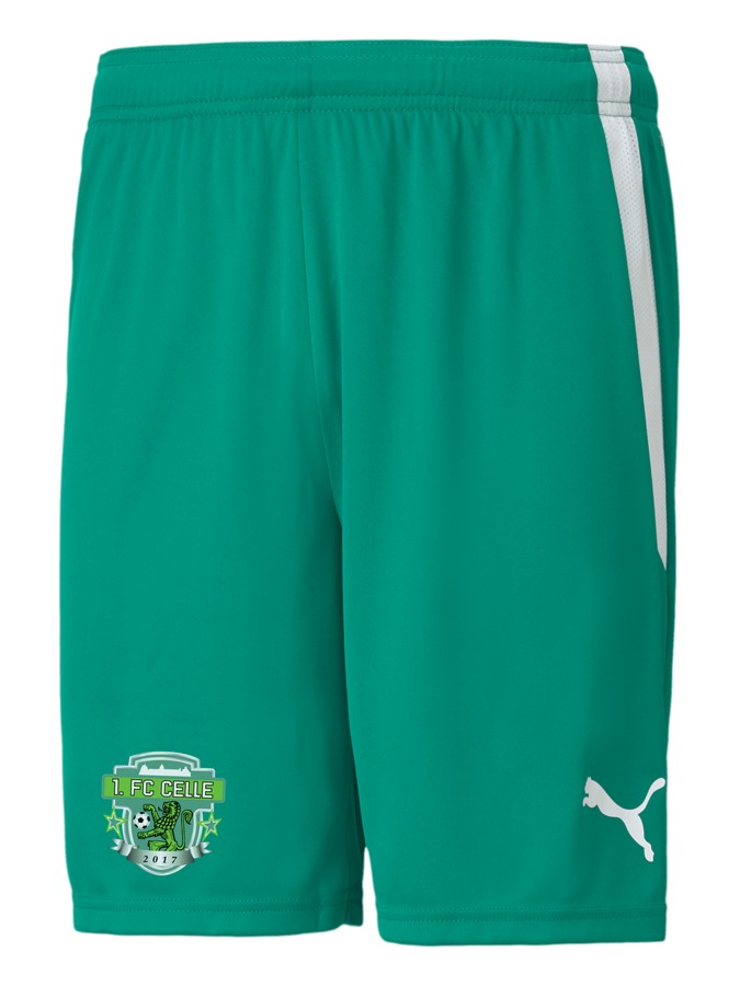 PUMA teamLIGA Shorts