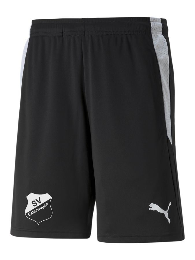 PUMA teamLIGA Referee Shorts