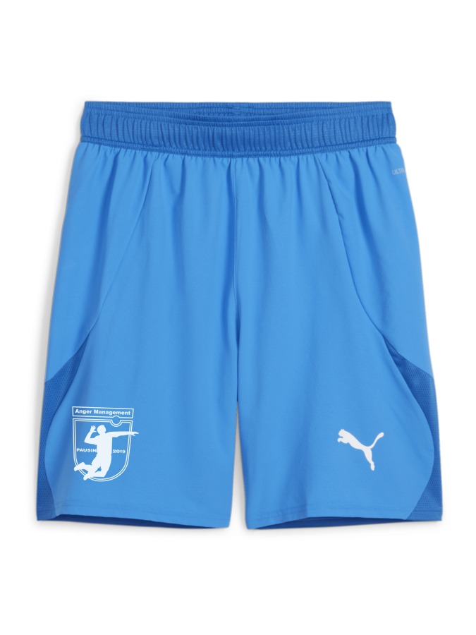 PUMA teamFINAL Shorts