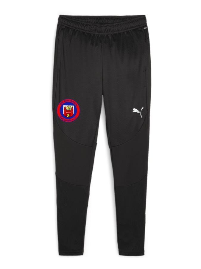 PUMA teamFINAL Trainingshose