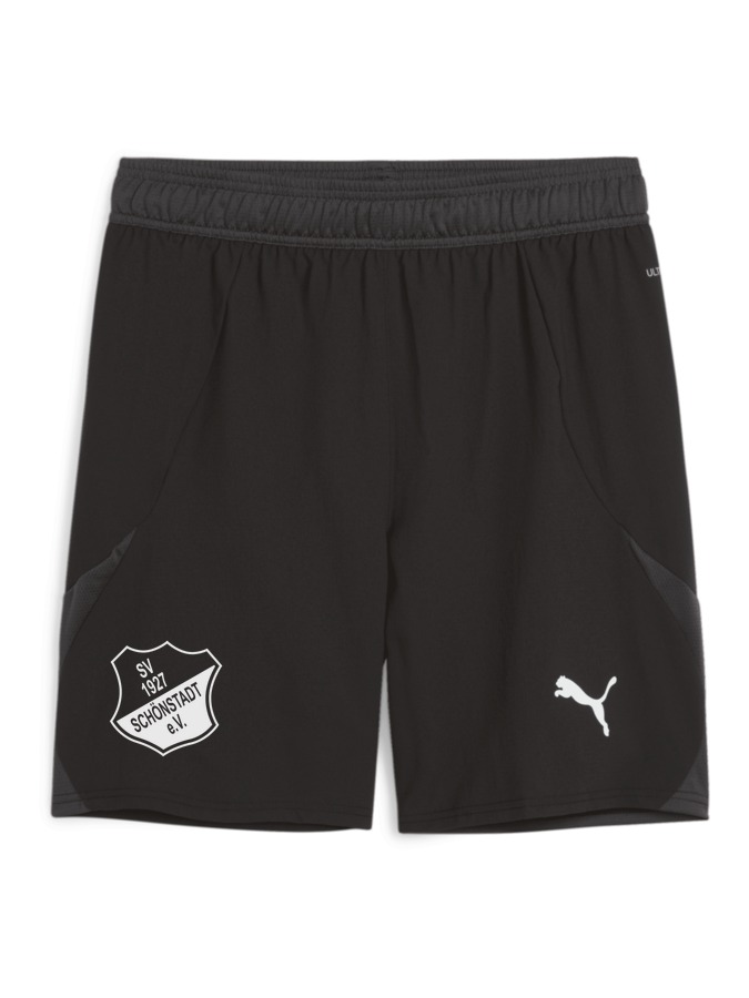 PUMA teamFINAL Shorts
