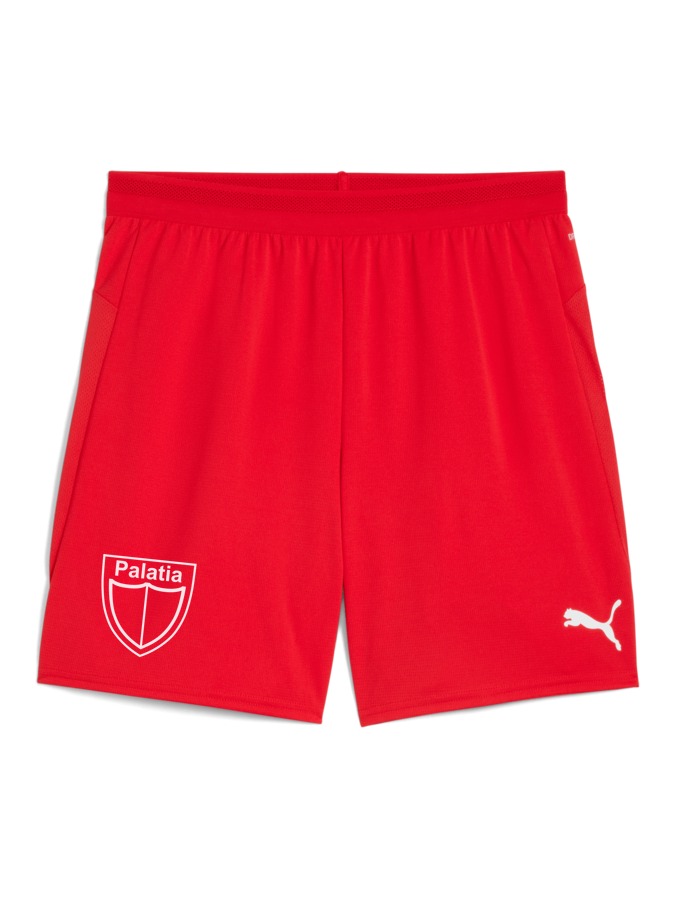 PUMA teamCUP Shorts