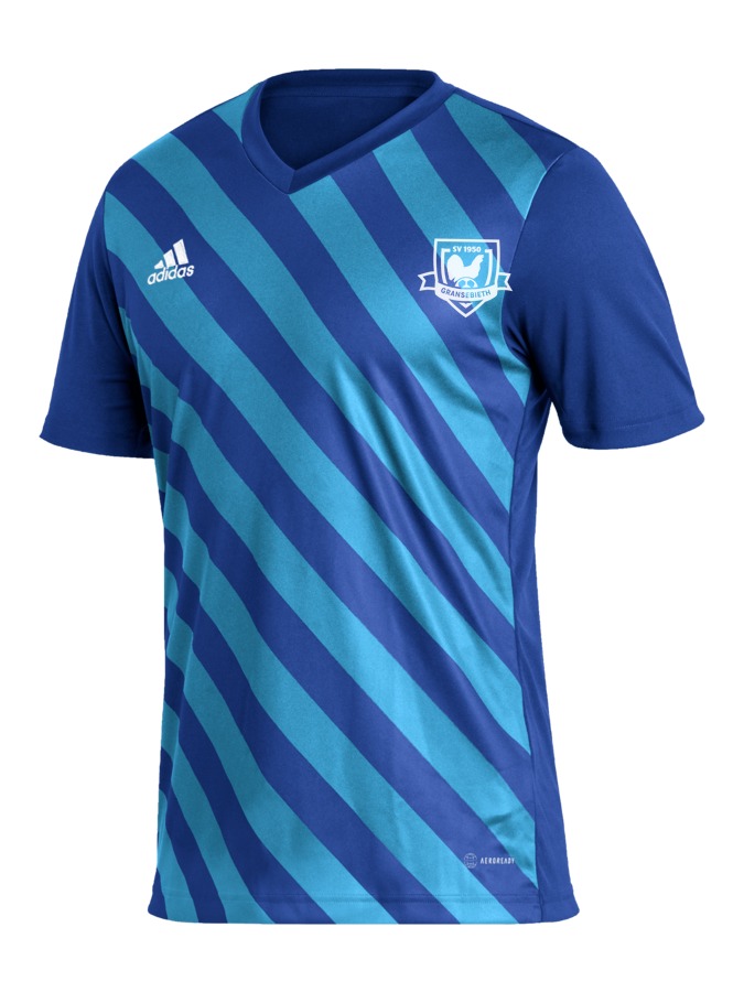 adidas Entrada 22 GFX Trikot