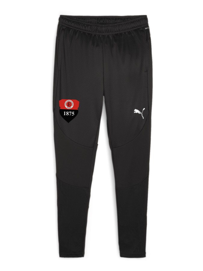 PUMA teamFINAL Trainingshose