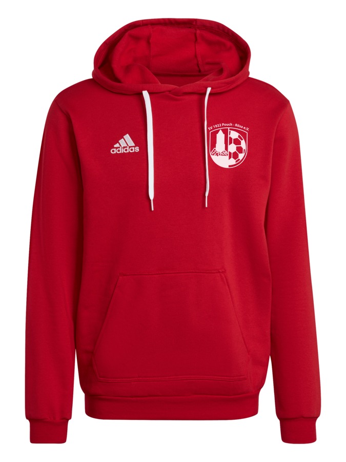 adidas Entrada 22 Hoodie
