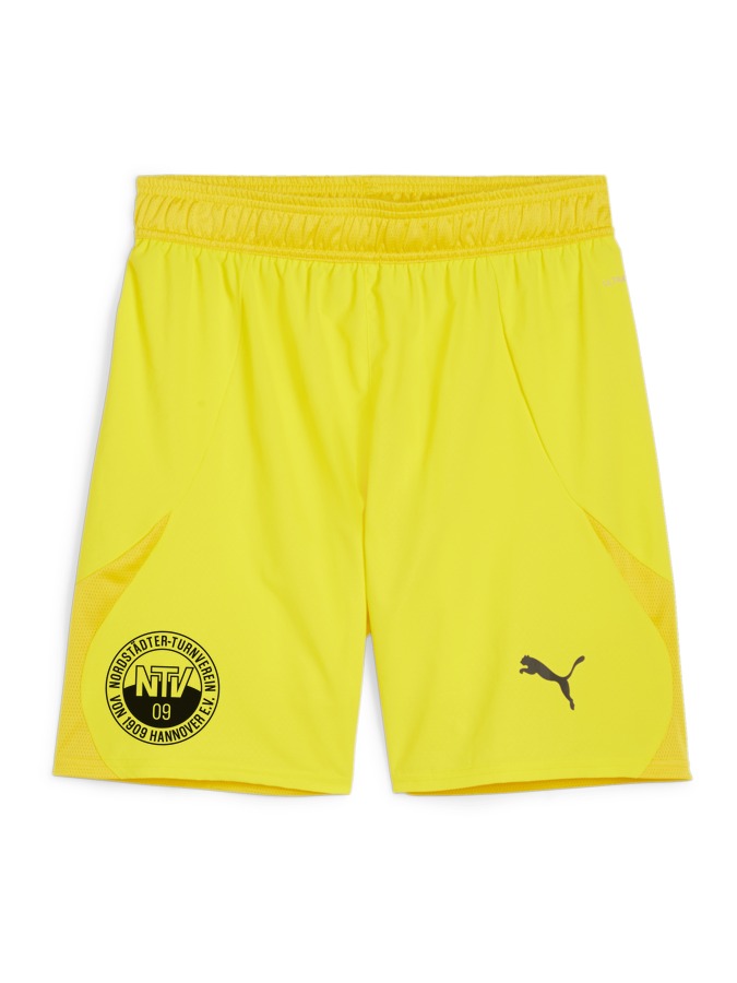 PUMA teamFINAL Shorts