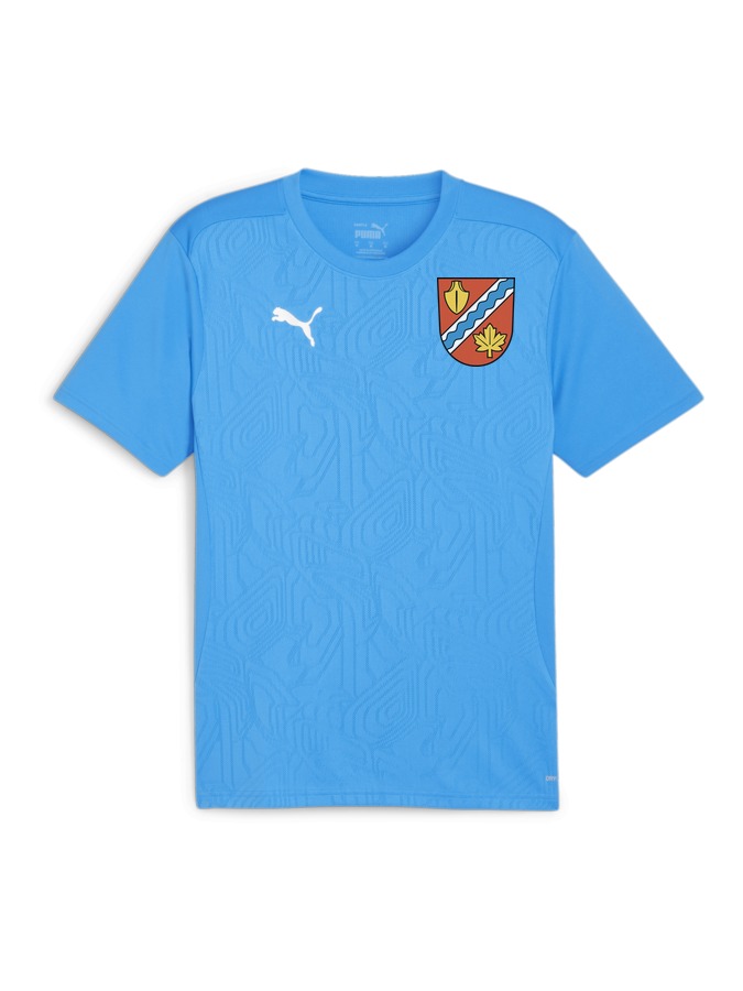 PUMA teamFINAL Trainingsshirt
