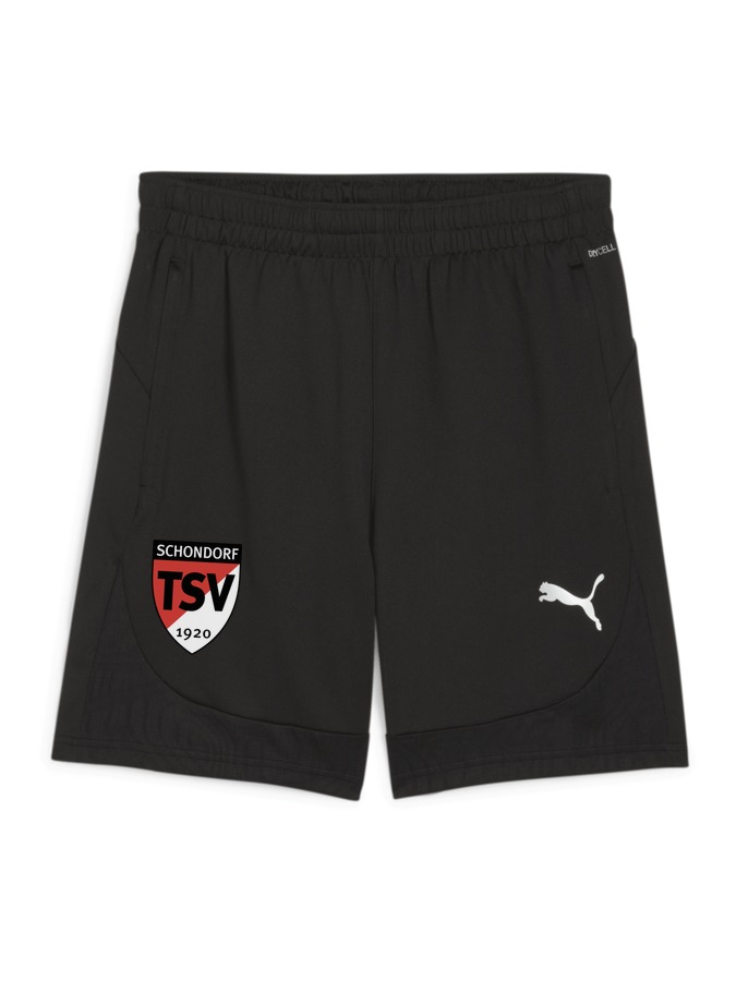 PUMA teamFINAL Training Shorts