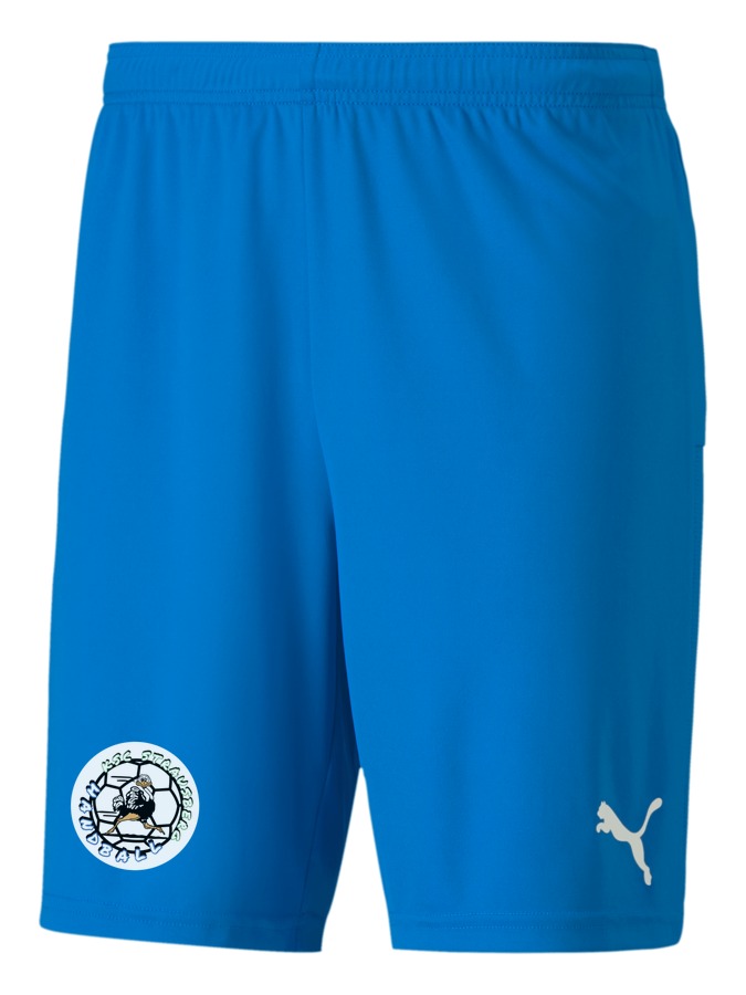PUMA teamGOAL 23 Knit Shorts