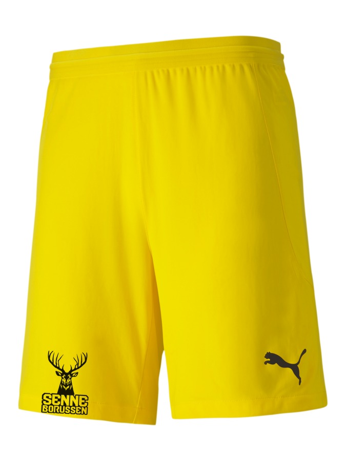 PUMA teamFINAL 21 Knit Shorts