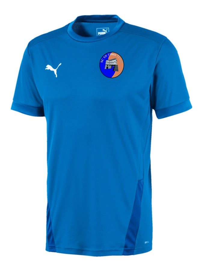 PUMA teamGOAL 23 Trikot