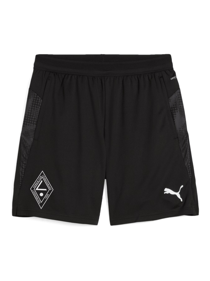 PUMA teamCUP Training Shorts