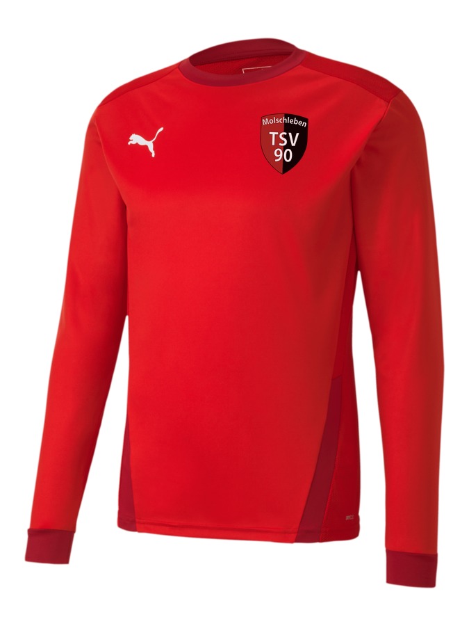 PUMA teamGOAL 23 Longsleeve