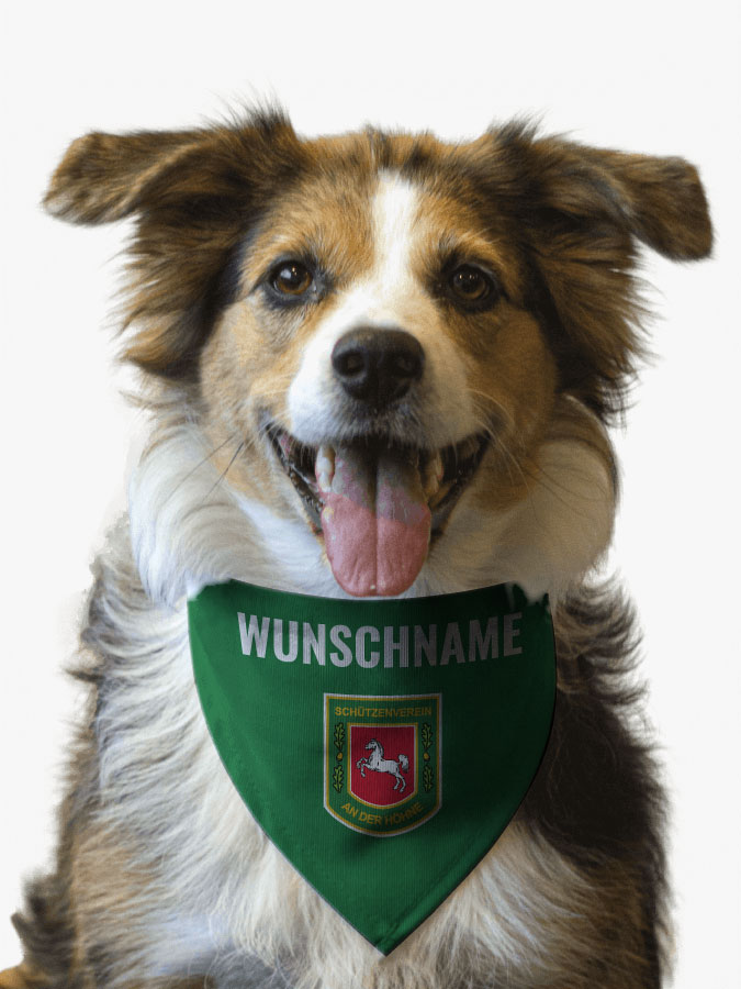 Hundehalstuch