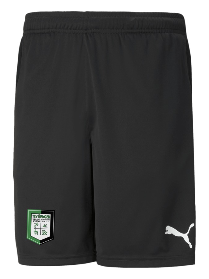 PUMA teamRISE Training Shorts