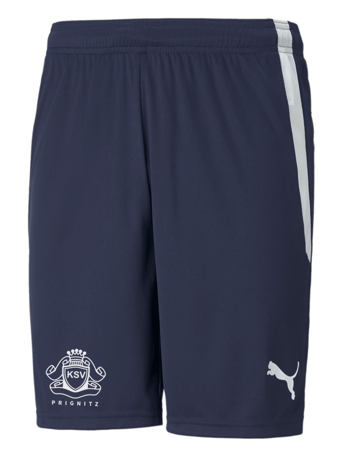PUMA teamLIGA Shorts