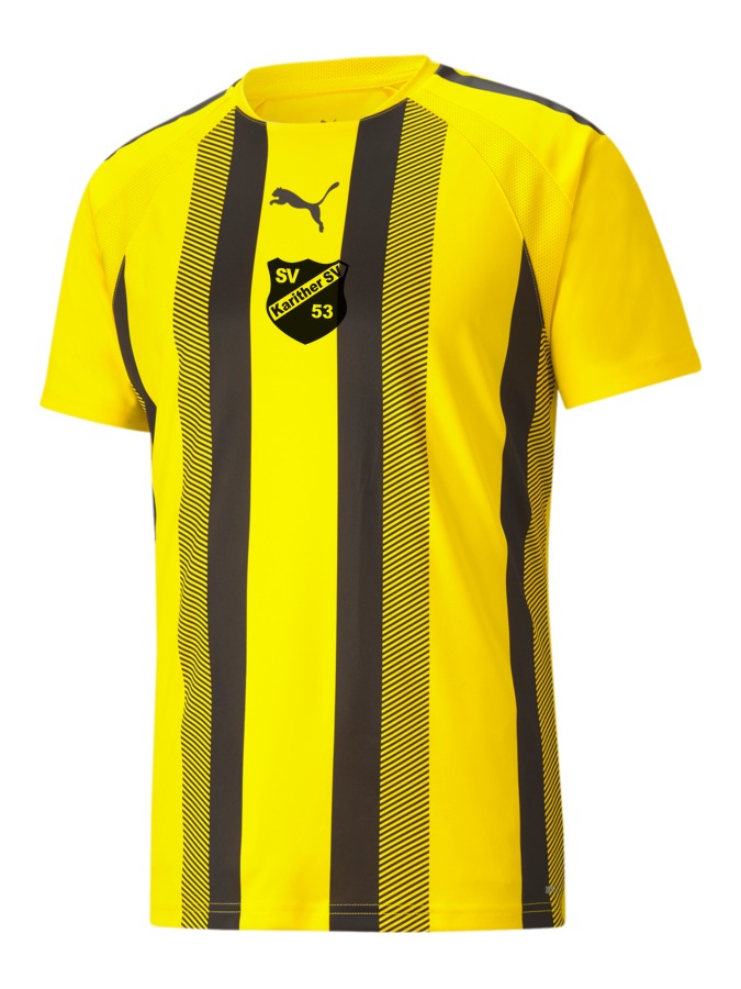 PUMA teamLIGA Striped Trikot
