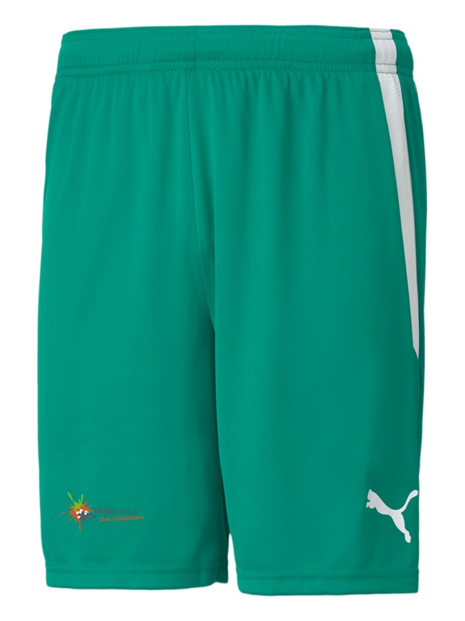 PUMA teamLIGA Shorts