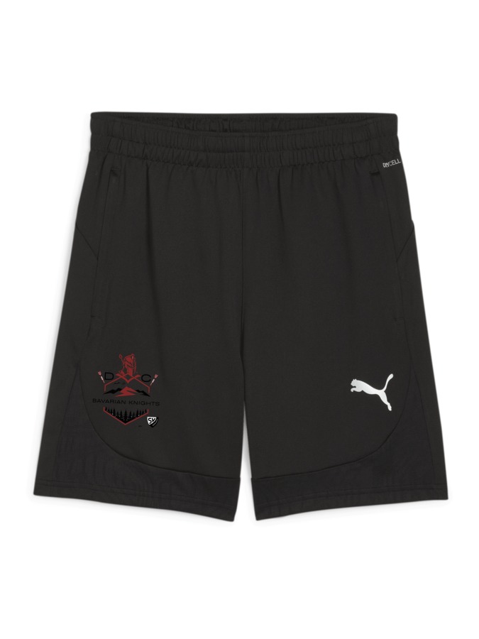 PUMA teamFINAL Training Shorts