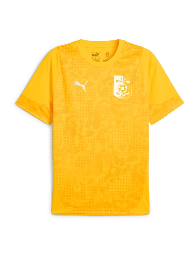 PUMA teamCUP Trainingsshirt