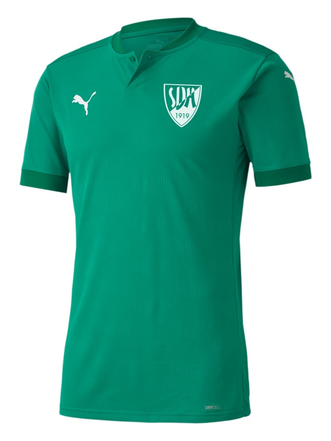 PUMA teamFINAL 21 Trikot