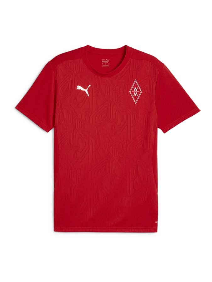 PUMA teamFINAL Trainingsshirt