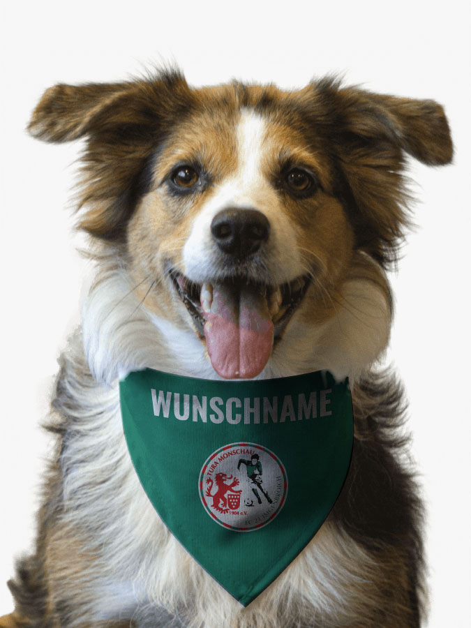 Hundehalstuch