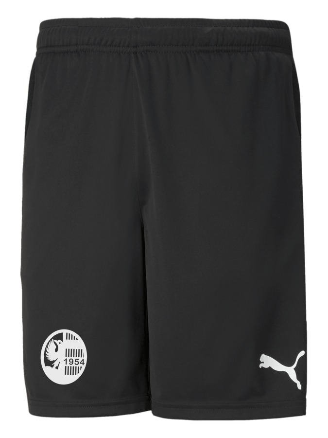 PUMA teamRISE Training Shorts