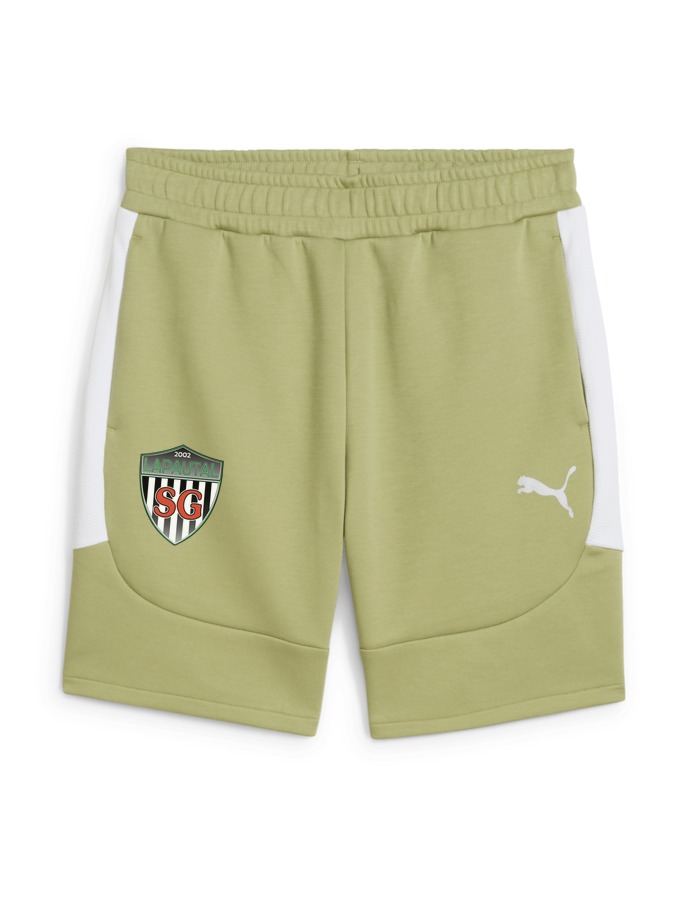 PUMA teamEVOSTRIPE Shorts