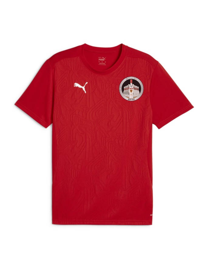 PUMA teamFINAL Trainingsshirt