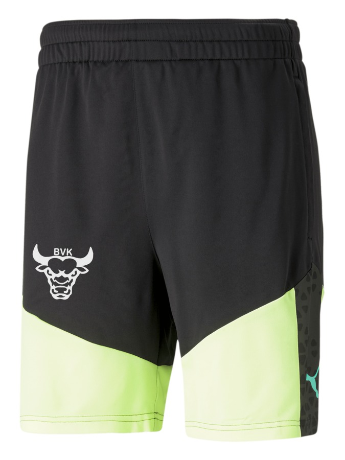 PUMA individualCUP Training Shorts