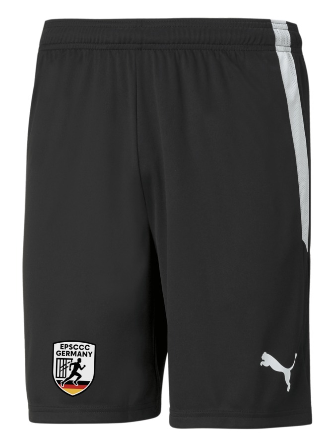 PUMA teamLIGA Shorts