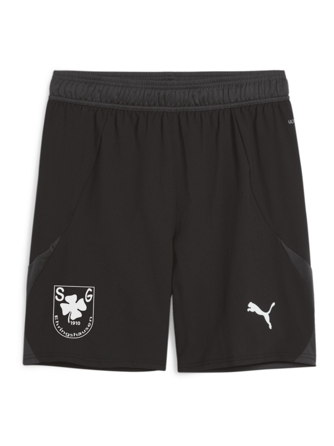 PUMA teamFINAL Shorts