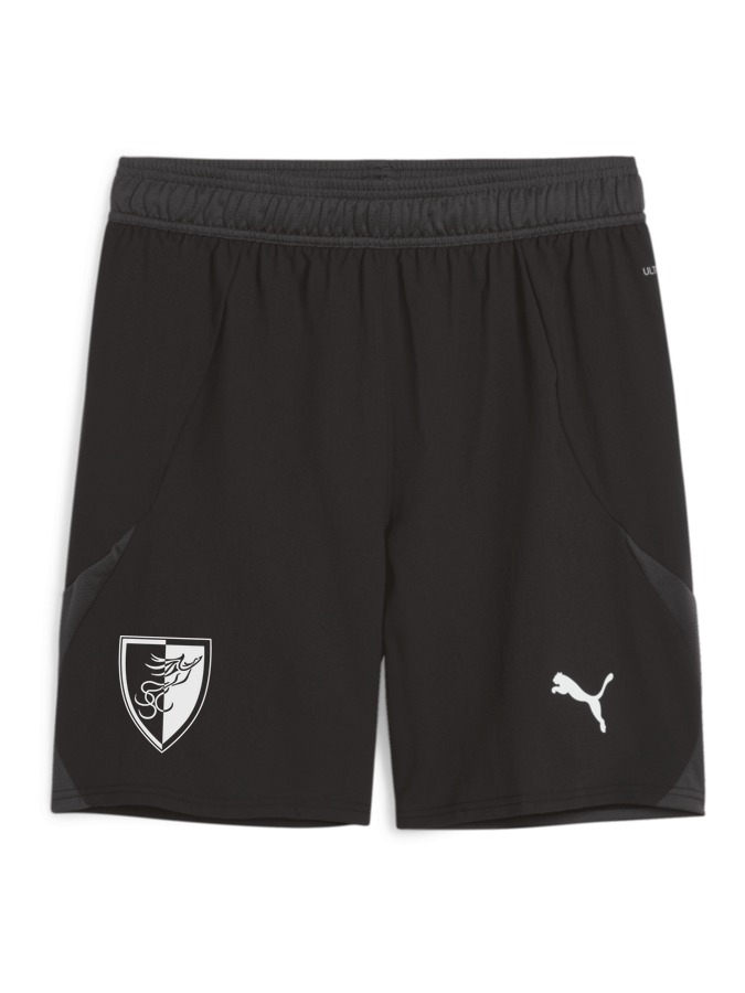 PUMA teamFINAL Shorts