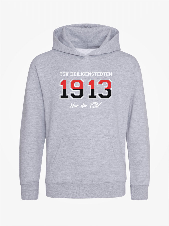 Hoodie Established Kids