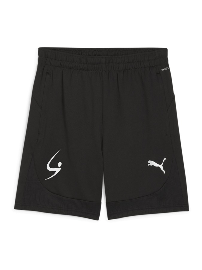 PUMA teamFINAL Training Shorts