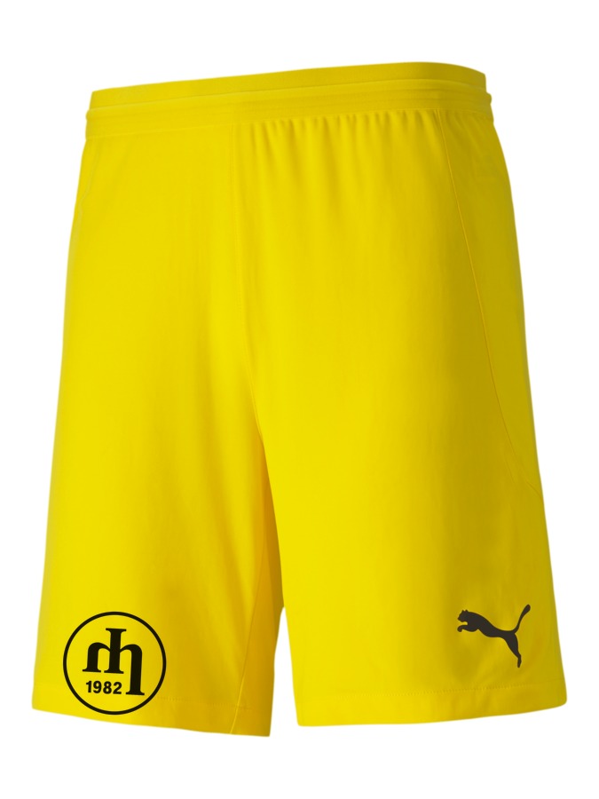 PUMA teamFINAL 21 Knit Shorts