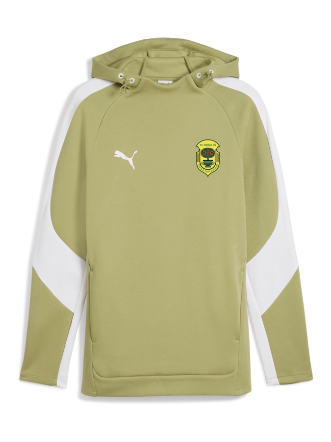 PUMA teamEVOSTRIPE Hoody