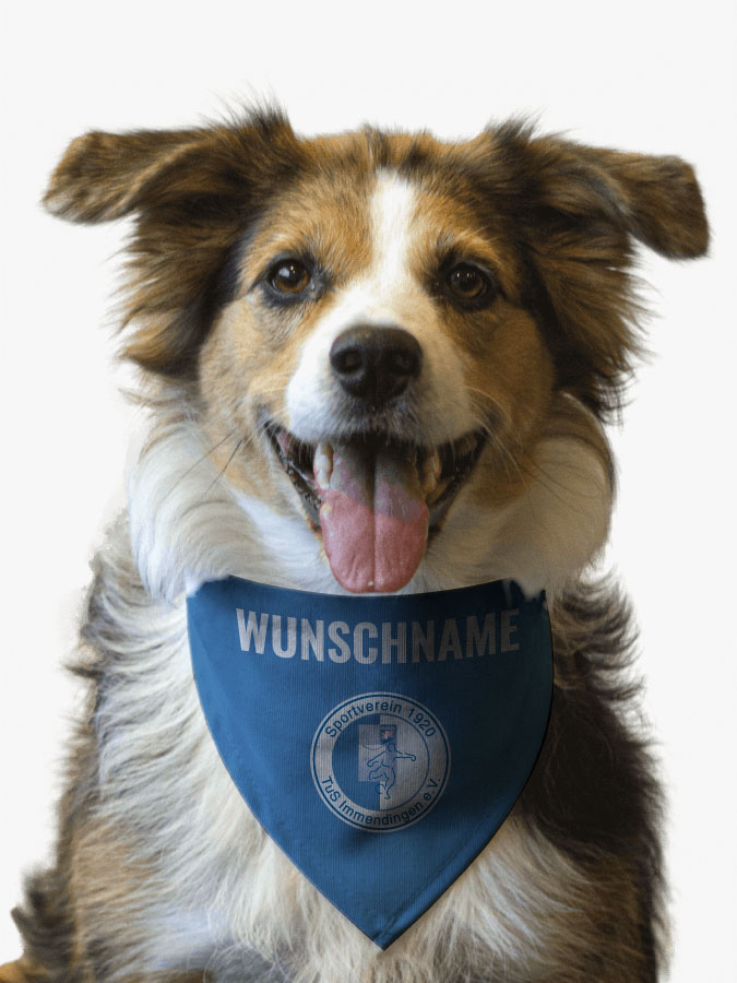 Hundehalstuch
