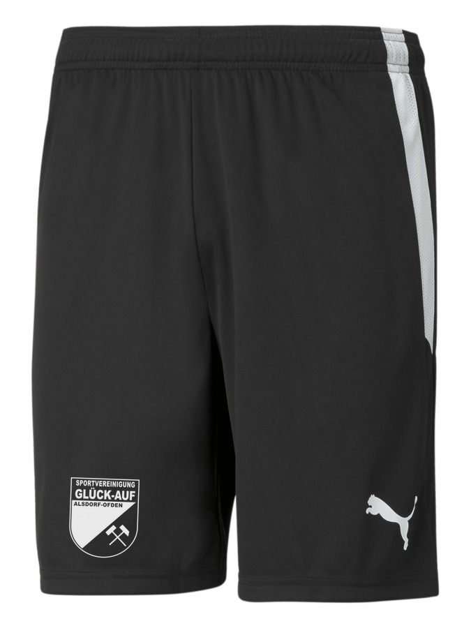 PUMA teamLIGA Shorts
