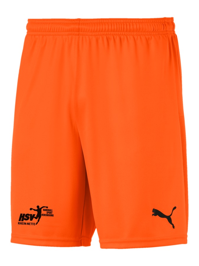 PUMA teamGOAL 23 Knit Shorts