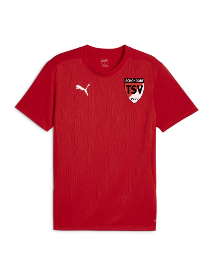 PUMA teamFINAL Trainingsshirt