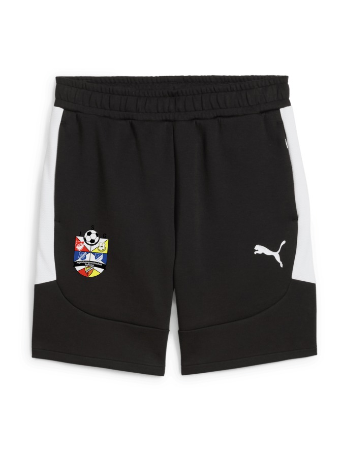 PUMA teamEVOSTRIPE Shorts