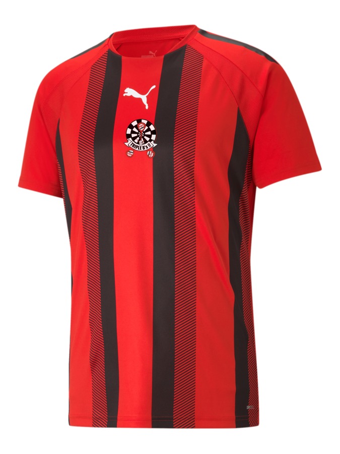 PUMA teamLIGA Striped Trikot