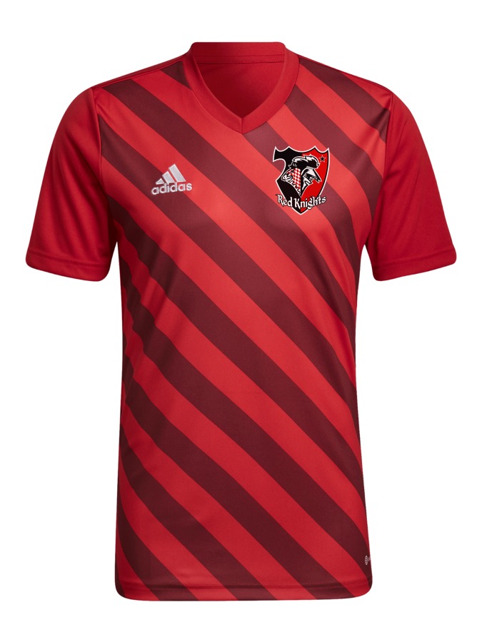 adidas Entrada 22 GFX Trikot