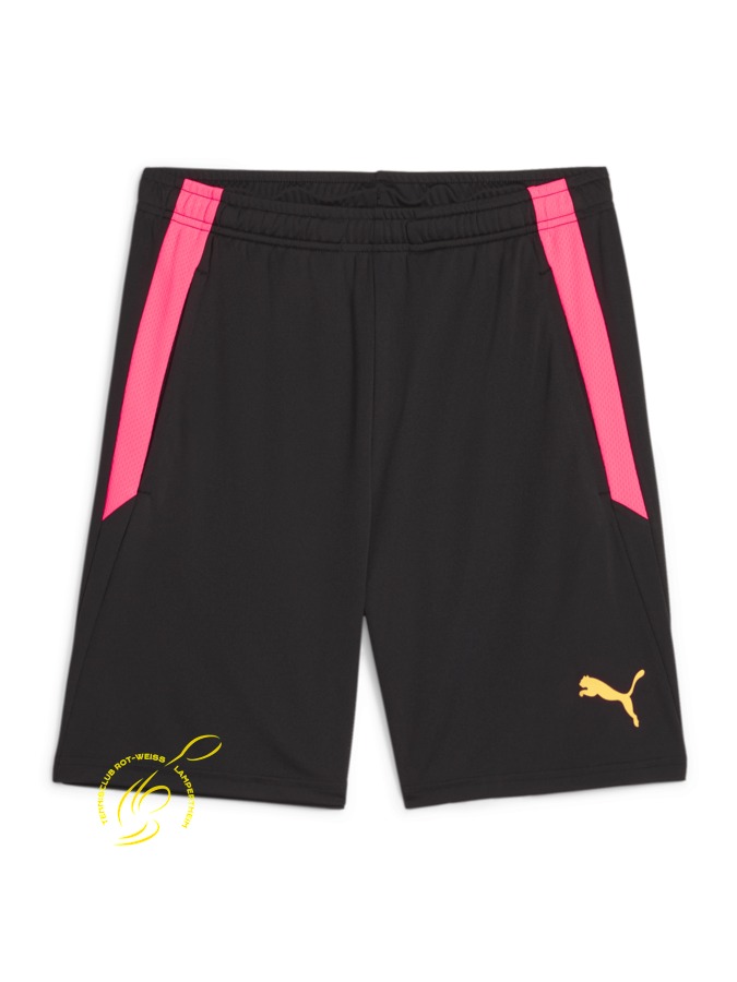 PUMA teamLIGA Training Shorts 2 (Offene Taschen)