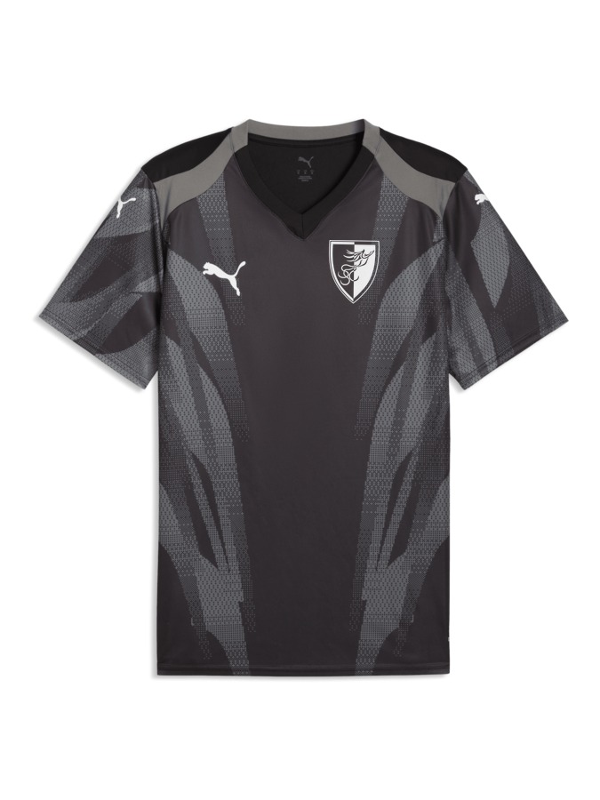 PUMA teamFINAL Graphic+ Trikot